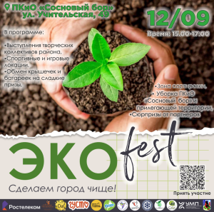 «Экофест» в Сосновом бору