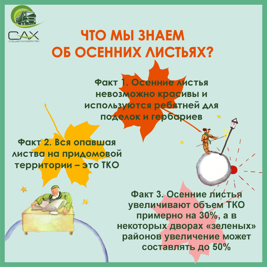 Что мы знаем об осенних листьях?