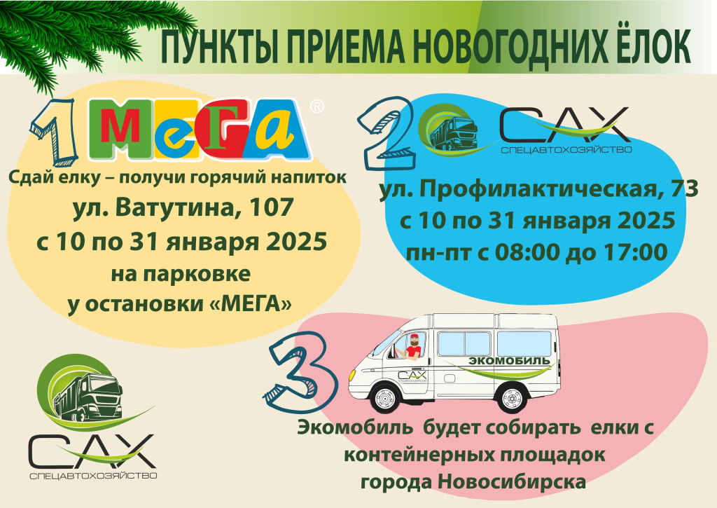 Пункты приёма новогодних ёлок 2025