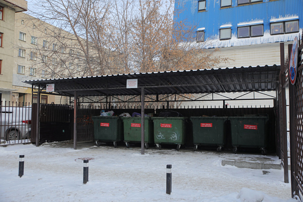Евроконтейнеры и скаты