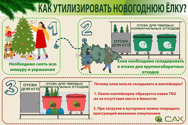 Сбор новогодних ёлок на утилизацию