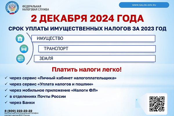 Подходит срок оплаты налогов