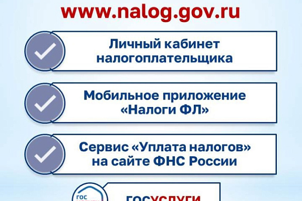 Сведения о налоговой задолженности получите в МФЦ