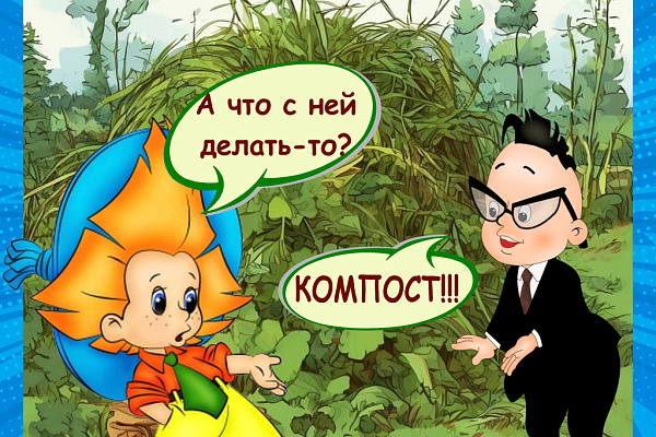 Ботва, трава и ветки заполнили контейнерные площадки