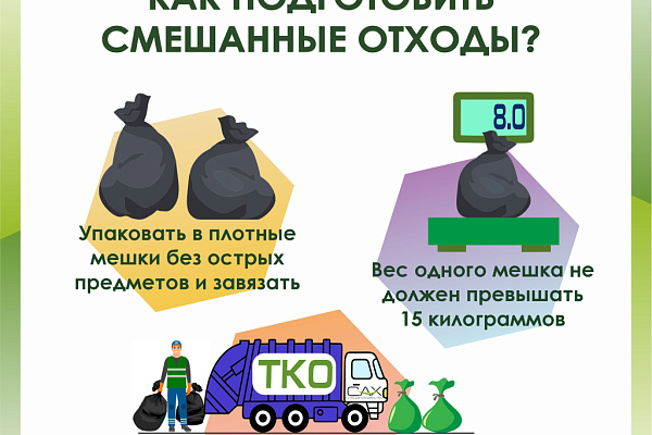 Собаки растаскивают мусор: что делать?