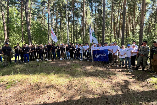 Деревянные унитазы и термоящики из пенопласта