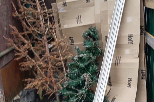 В конце марта новосибирцы продолжают выкидывать ёлки