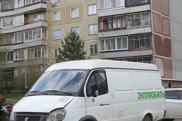 Школьники и детсадовцы сдали 5 тонн макулатуры в этом году