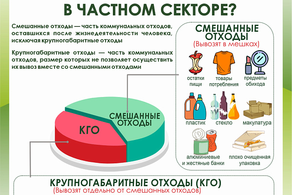 Собаки растаскивают мусор: что делать?