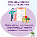 Контейнерная площадка: зоны ответственности