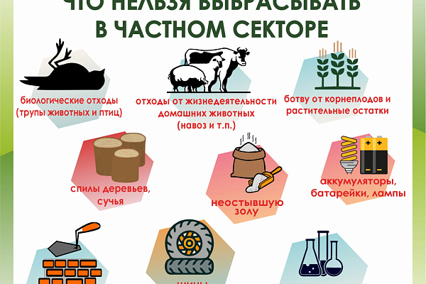 Собаки растаскивают мусор: что делать?