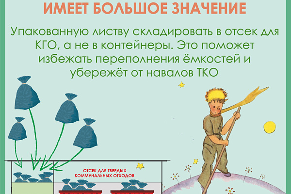 Какая осень без листопада?