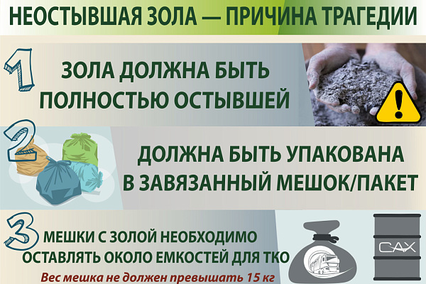 Экомобиль и экомоль собрали толпы новосибирцев