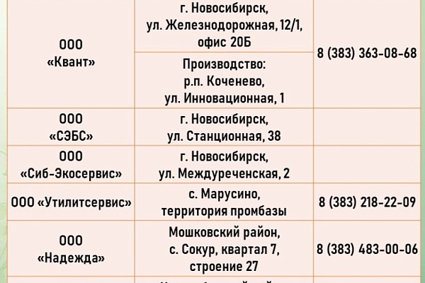 Новосибирцам, выбрасывающим мертвых питомцев, грозит штраф