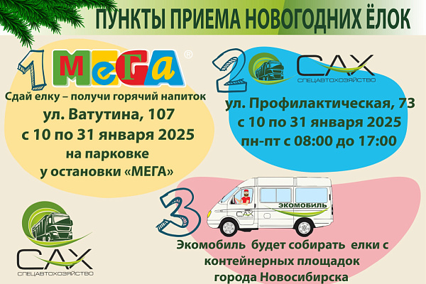 Сбор новогодних ёлок на утилизацию