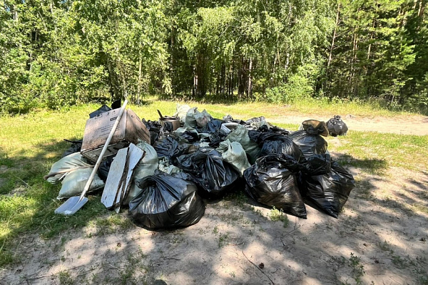 Деревянные унитазы и термоящики из пенопласта