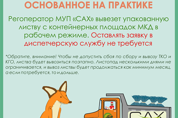 Какая осень без листопада?