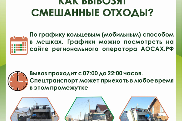 Собаки растаскивают мусор: что делать?