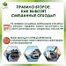 Собаки растаскивают мусор: что делать?