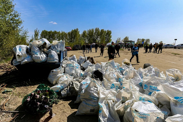 250 неравнодушных новосибирцев приняли участие в очистке береговой линии