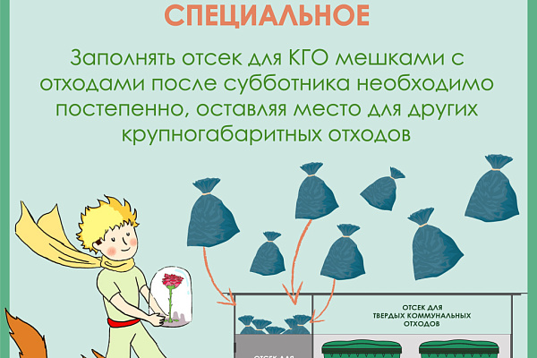 Какая осень без листопада?